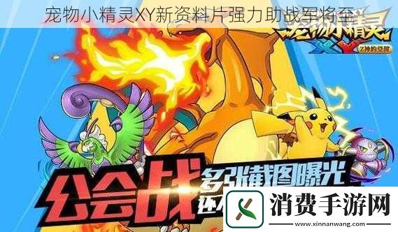 宠物小精灵XY新资料片强力助战军将至