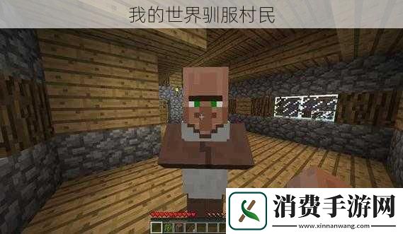我的世界驯服村民