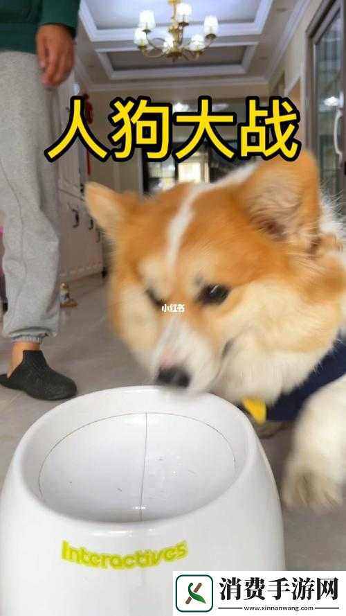 玩人狗大战的实现方法