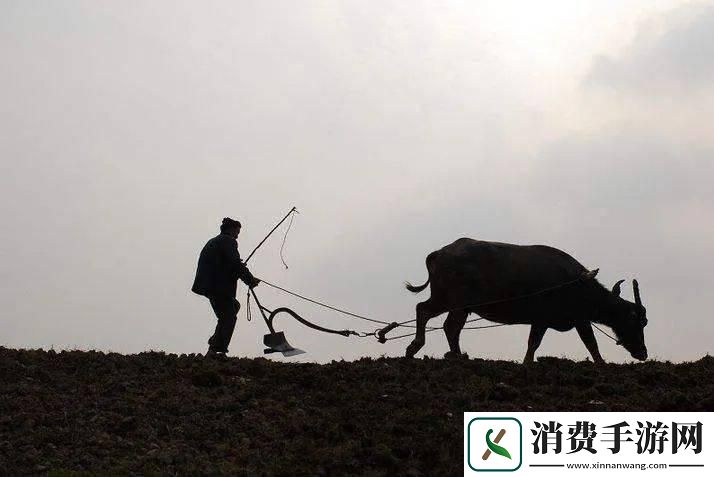 爸爸耕田去：科技界的“另类”引领者