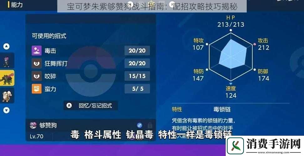 宝可梦朱紫够赞狗战斗指南：配招攻略技巧揭秘