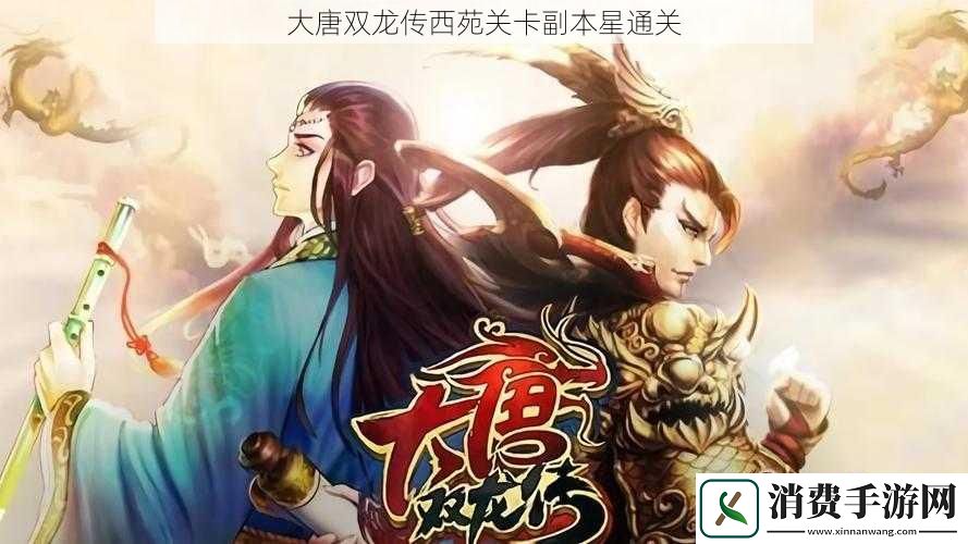 大唐双龙传西苑关卡副本星通关