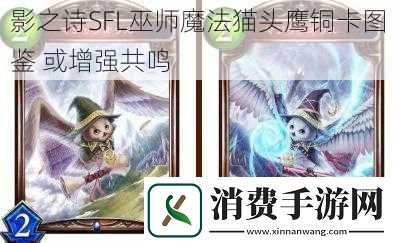 影之诗SFL巫师魔法猫头鹰铜卡图鉴-或增强共鸣