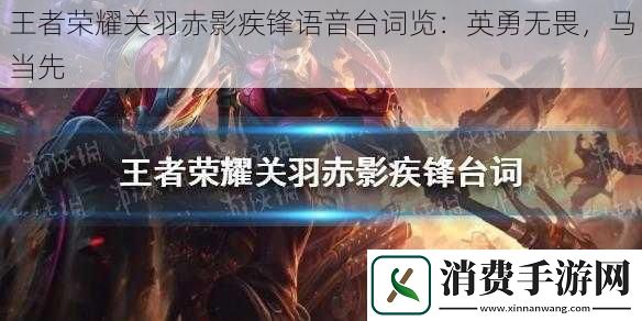 王者荣耀关羽赤影疾锋语音台词览