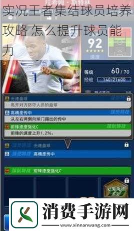 实况王者集结球员培养攻略怎么提升球员能力