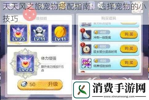 天天风之旅宠物搭配指南