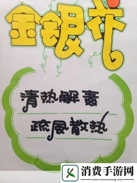 深度开发pop金银花可免费进出：如何深度开发金银花的多种应用以提升其市场价值