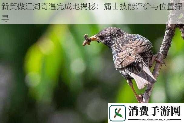 新笑傲江湖奇遇完成地揭秘