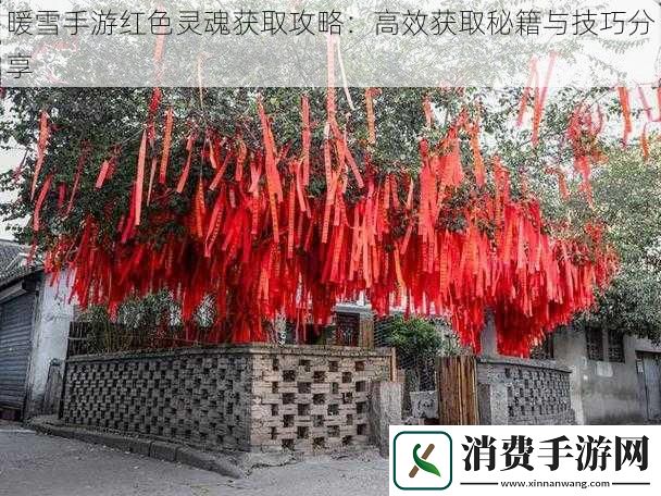 暖雪手游红色灵魂获取攻略