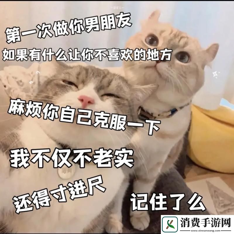 "科技圈新风波：友热炒“男友连续作战”-我笑谈“败阵”艺术"