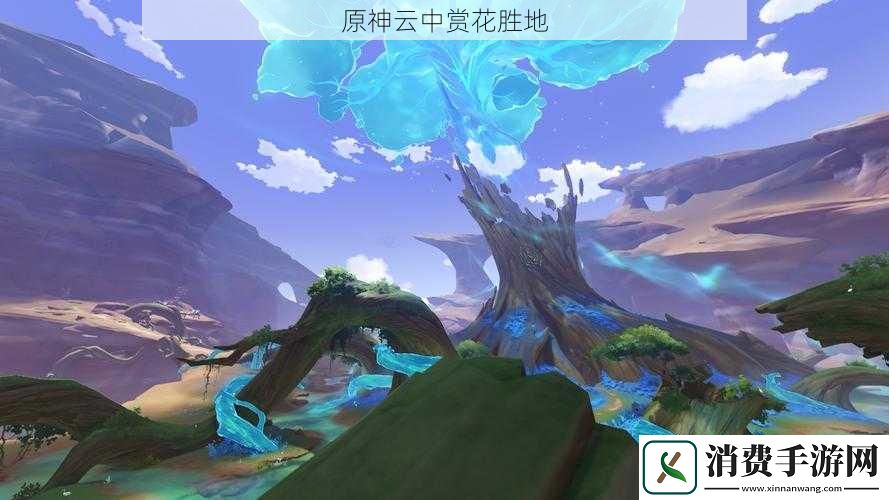 原神云中赏花胜地