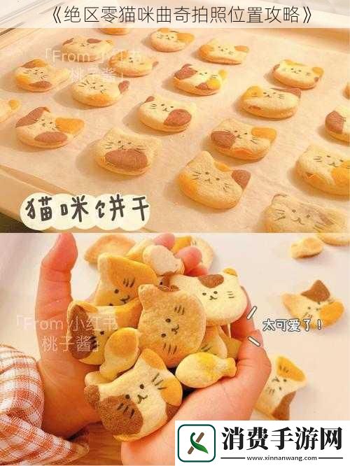 绝区零猫咪曲奇拍照位置攻略