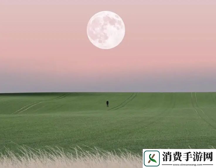 欧洲尺码日本尺码专线美国t的详细解析与对比