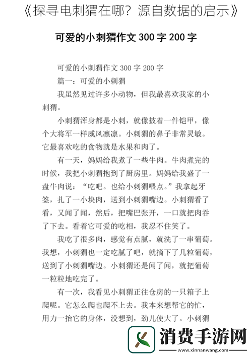 探寻电刺猬在哪-源自数据的启示