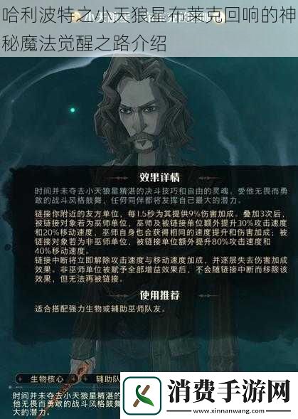哈利波特之小天狼星布莱克回响的神秘魔法觉醒之路介绍