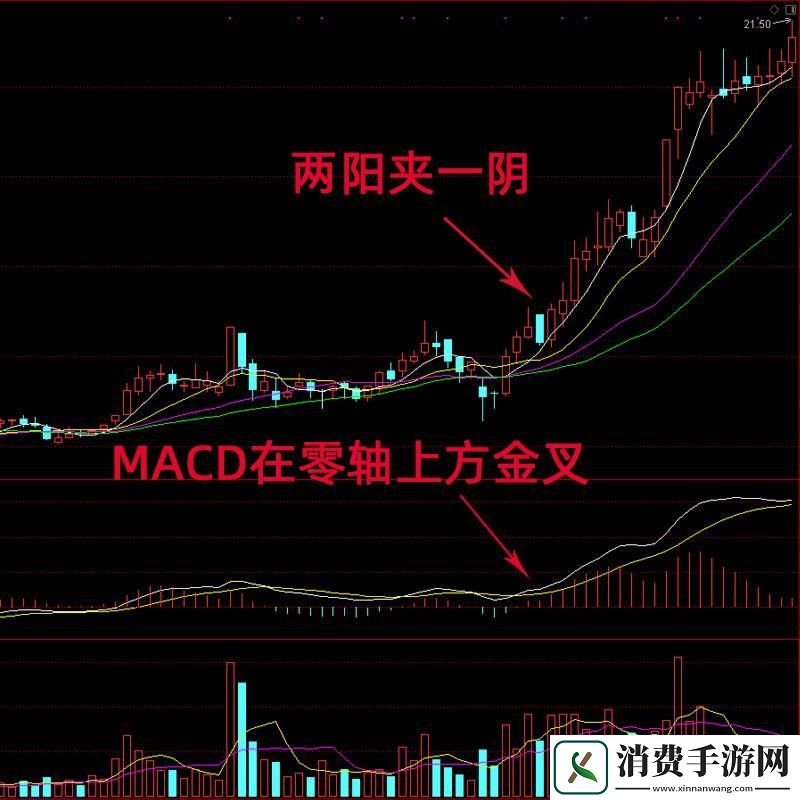 “双阳不敌一阴-揭秘民新宠儿的讽刺之道”