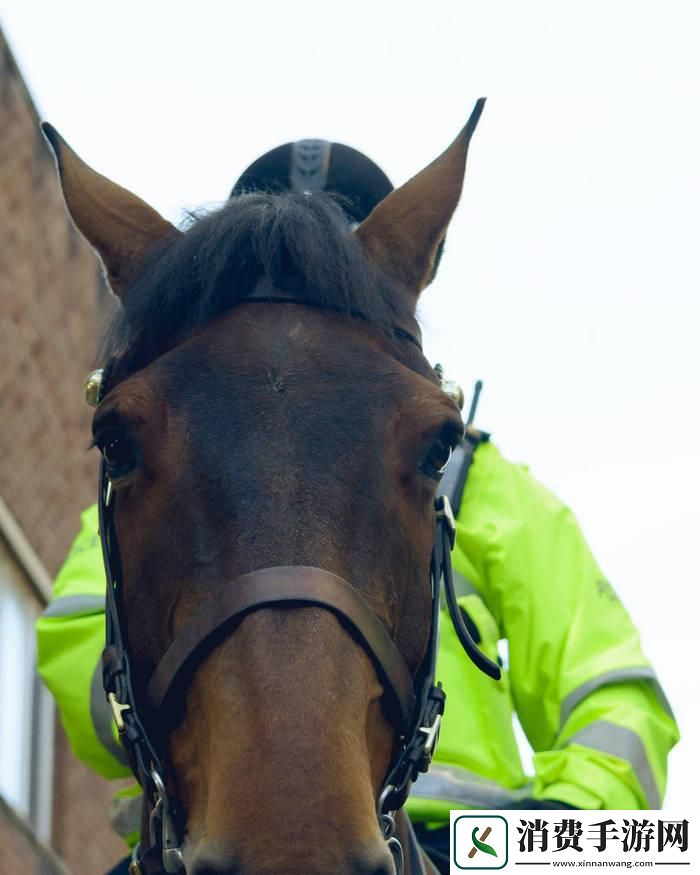 “马B”造型大揭秘