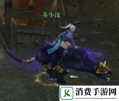 为了结婚重回天下贰老九寨玩家情定大荒