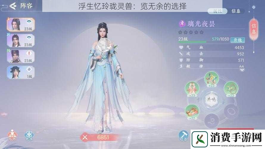浮生忆玲珑灵兽：览无余的选择