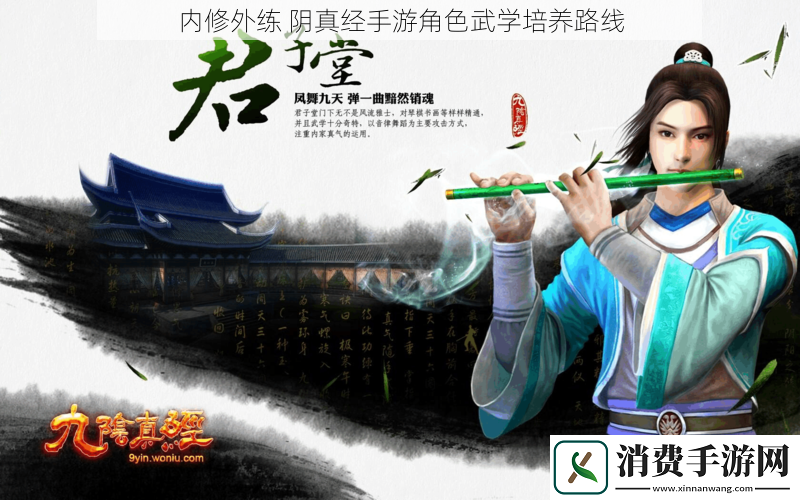 内修外练阴真经手游角色武学培养路线