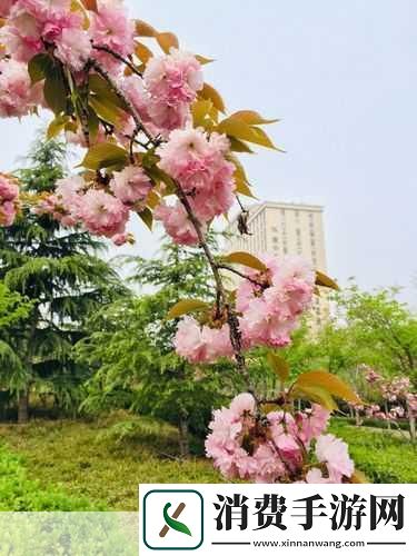 春天里最动人的风景：在春天的阳光下绽放的花朵和轻柔的微风交织成一幅怎样迷人的画卷呢