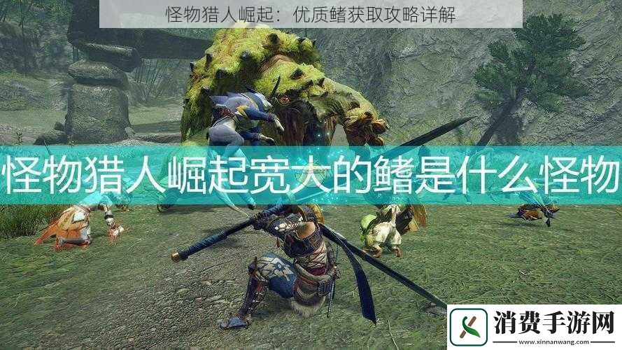 怪物猎人崛起