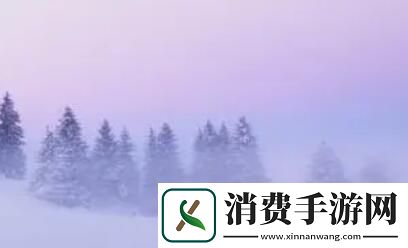 扦插bb有什么好处：快速繁殖新植物的有效方法