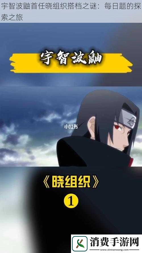 宇智波鼬首任晓组织搭档之谜