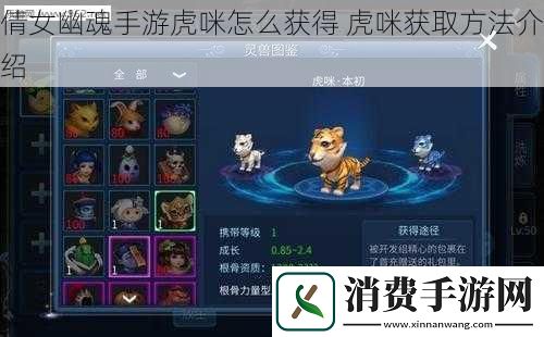 倩女幽魂手游虎咪怎么获得虎咪获取方法介绍