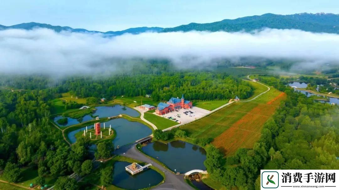 伊春园“直捣黄龙”