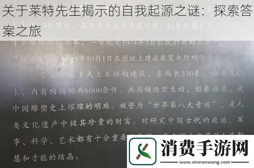 关于莱特先生揭示的自我起源之谜