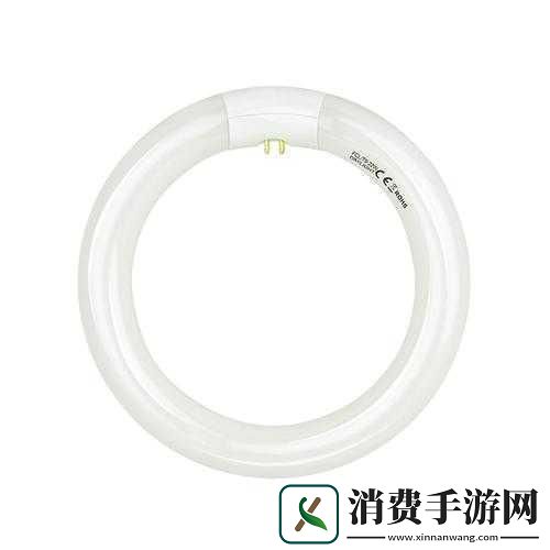 506寝室的灯灭了以后第9部分：你能帮我找一下506寝室的灯开关在哪里吗
