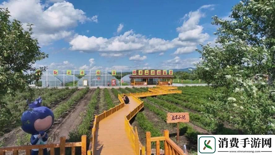 伊春园“直捣黄龙”