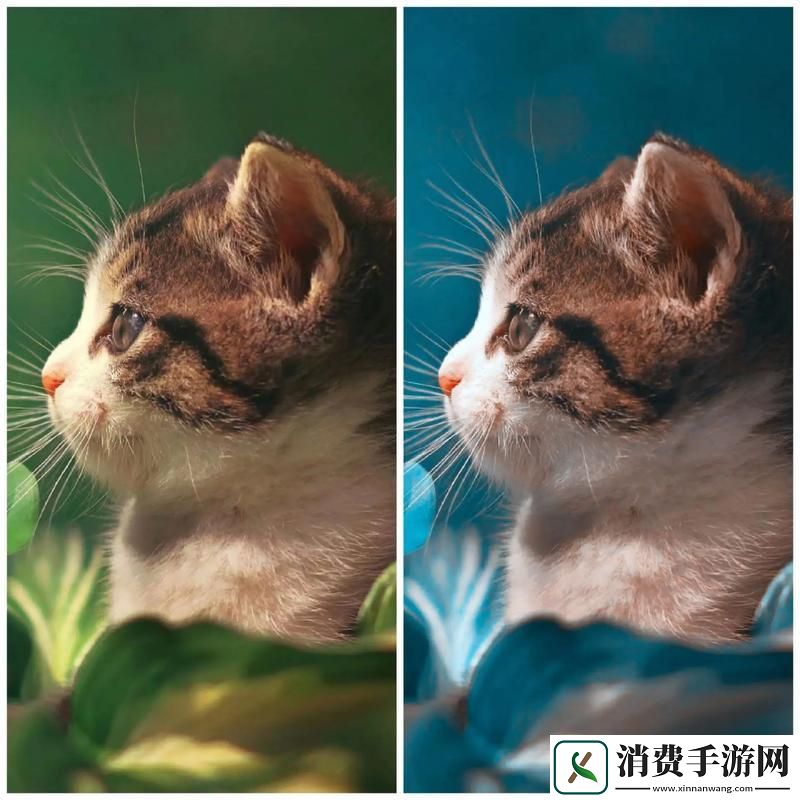 PS调色艺术的魅力