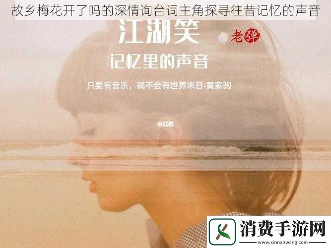 故乡梅花开了吗的深情询台词主角探寻往昔记忆的声音