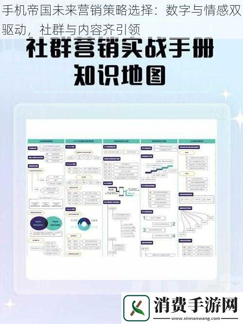 手机帝国未来营销策略选择