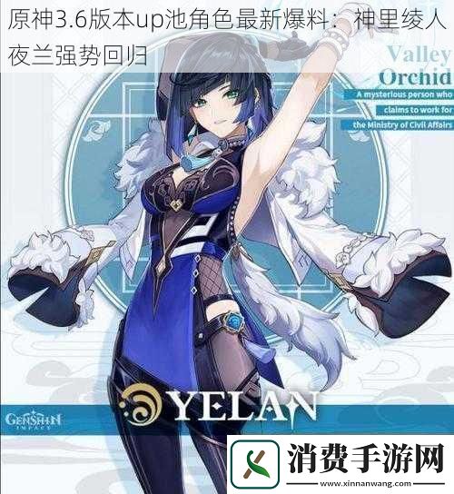 原神3.6版本up池角色最新爆料：神里绫人夜兰强势回归
