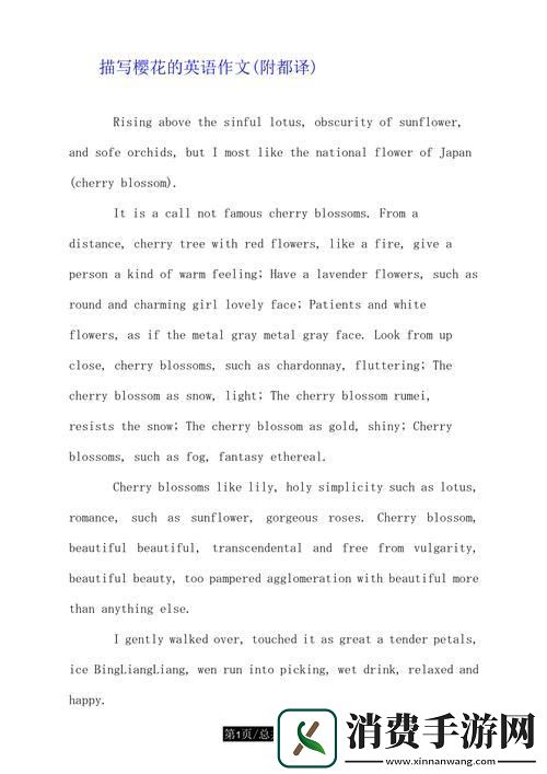 樱花绽放的时代之花