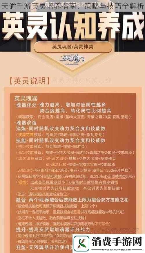 天谕手游英灵培养指南：策略与技巧全解析