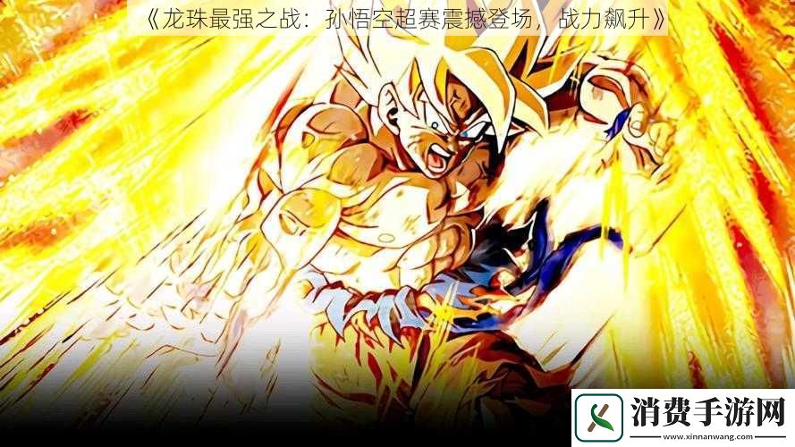 龙珠最强之战