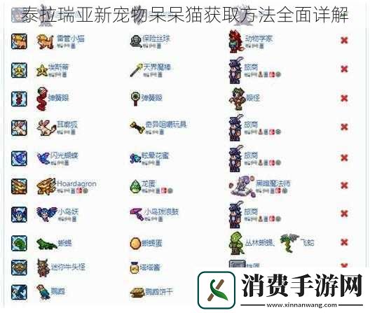 泰拉瑞亚新宠物呆呆猫获取方法全面详解