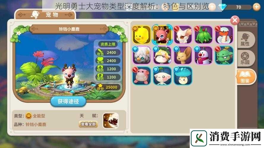 光明勇士大宠物类型深度解析