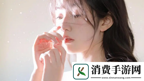 日本WindowsServer片友