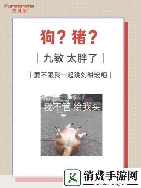人狗胶配方大全免费天：你想了解人狗胶的配方吗