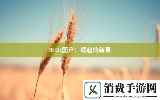 RS232国产：崛起的新星