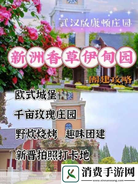 伊甸园大象传媒：你认为伊甸园大象传媒在未来的发展中会如何引领行业潮流