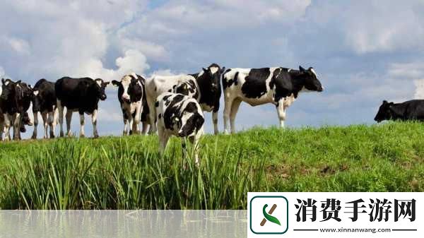 人与畜禽corporation的外：您认为人与畜禽corporation在可持续发展方面可以采取哪些创新措施