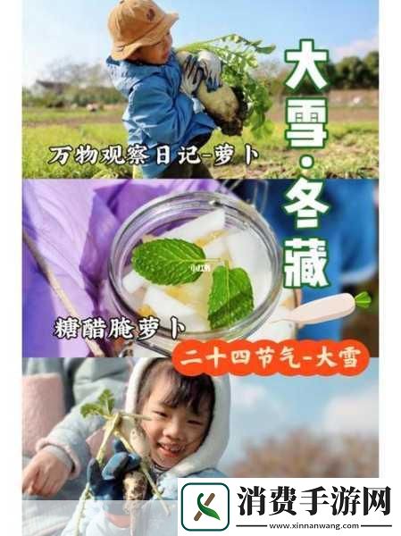 拔萝卜又痛又听：拔萝卜的时候为什么总是感觉又痛又累呢