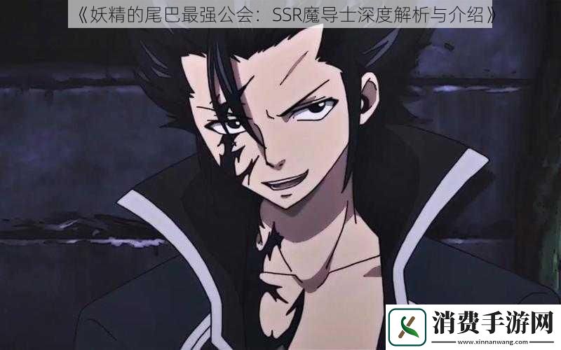 妖精的尾巴最强公会