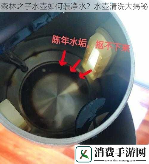 森林之子水壶如何装净水-水壶清洗大揭秘
